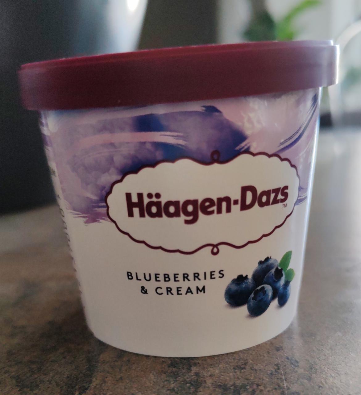 Fotografie - Blueberries & Cream Häagen-Dazs