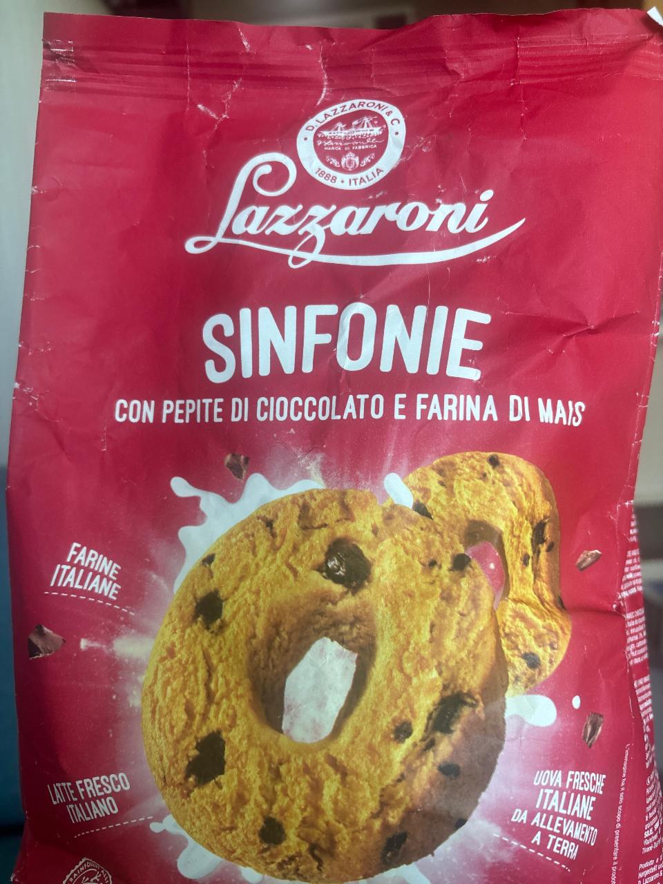 Fotografie - Sinfonie Lazzaroni