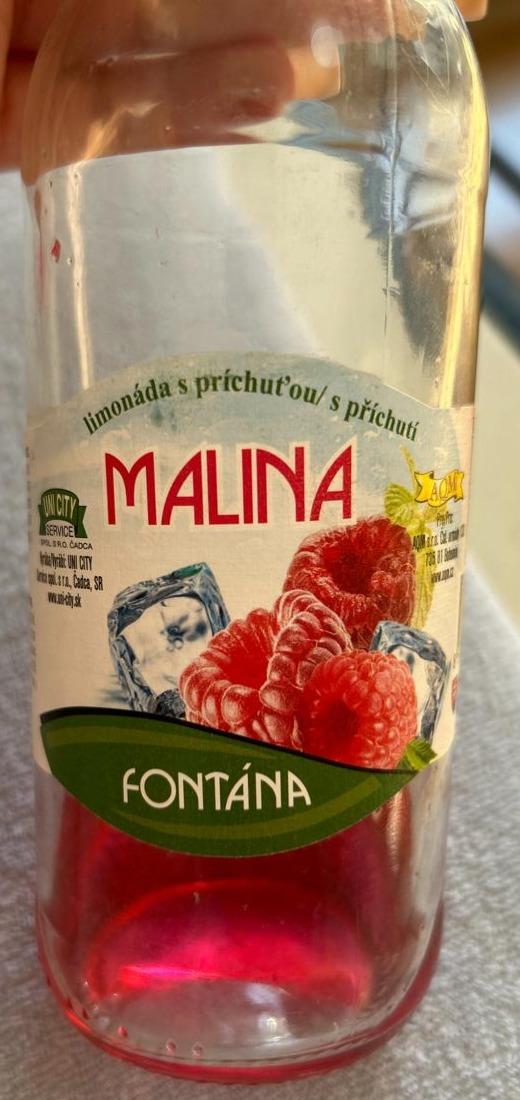 Fotografie - Limonáda s príchuťou Malina Fontána