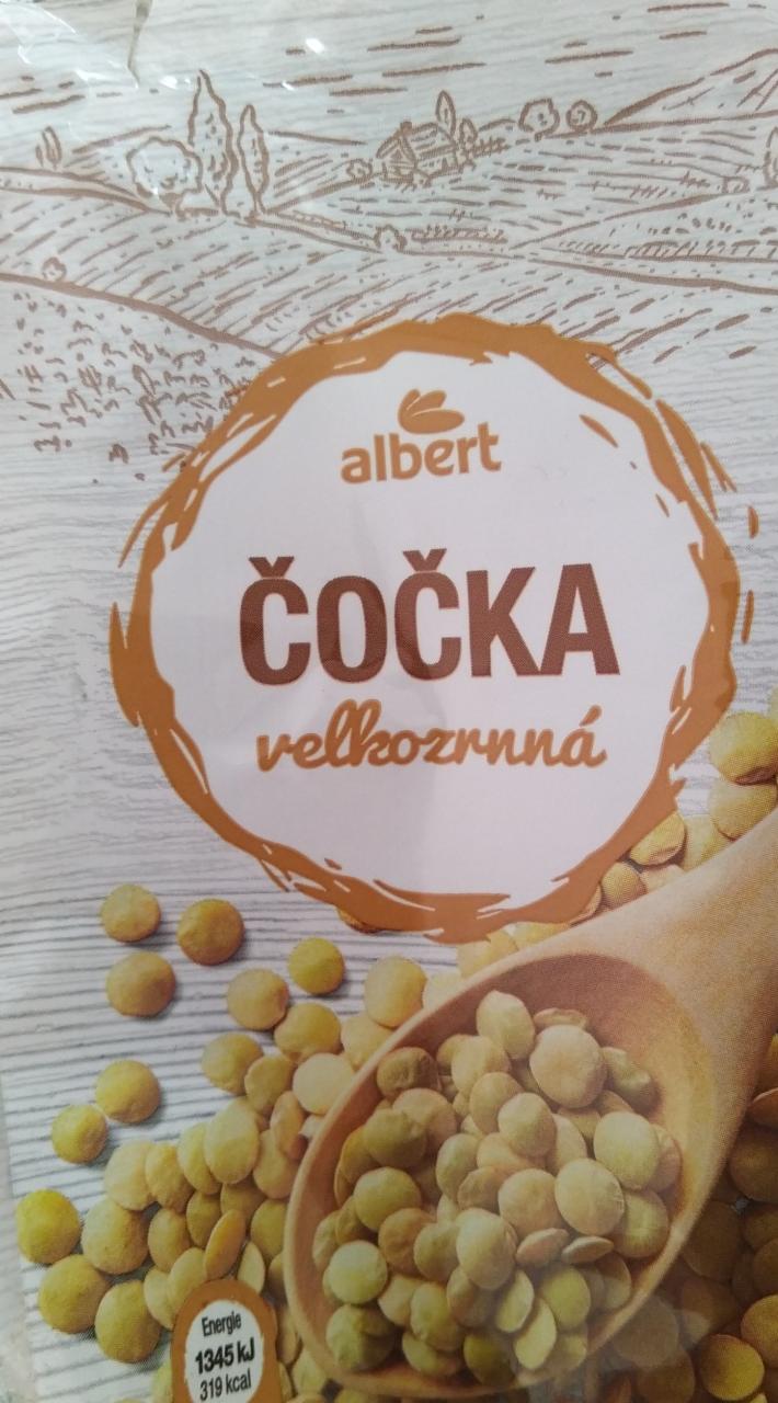 Fotografie - Čočka velkozrnná Albert