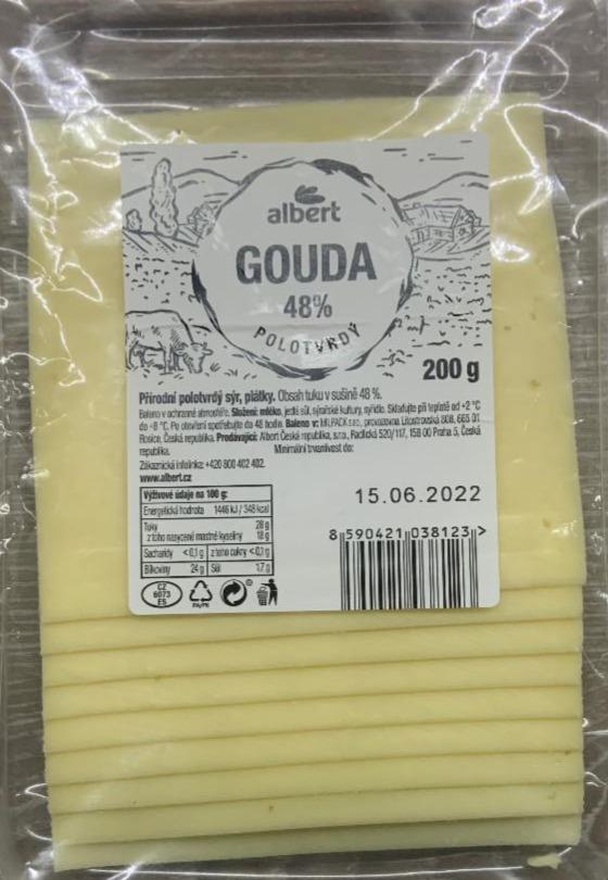 Fotografie - Gouda 48% plátky Albert