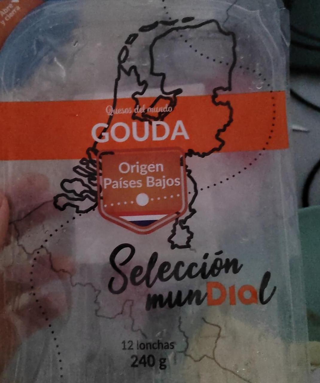 Fotografie - Quesos del mundo Gouda Dia