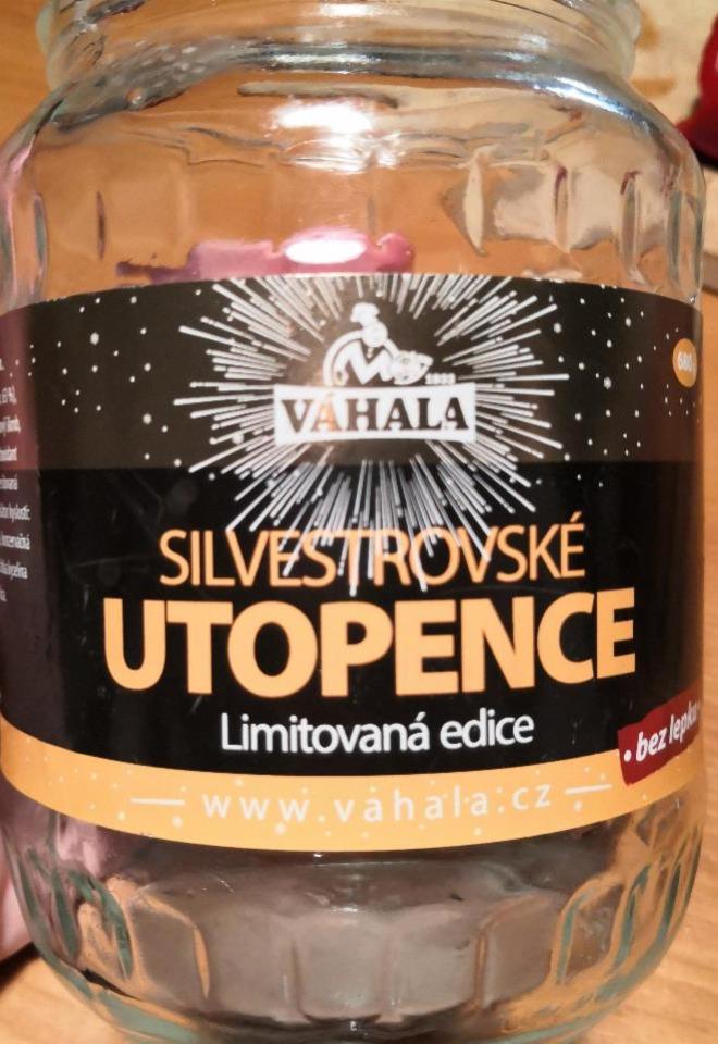 Fotografie - Silvestrovské utopence Váhala