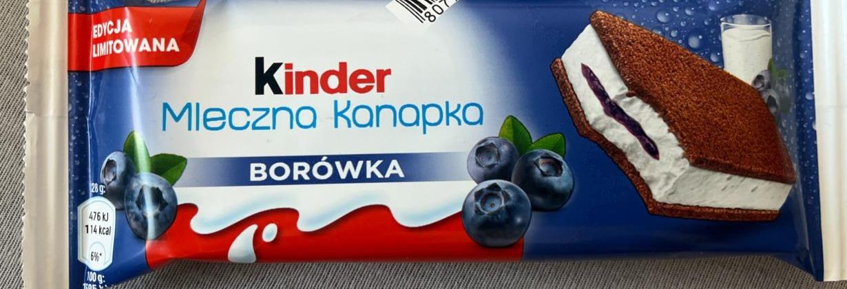 Fotografie - Milk-slice čučoriedka Kinder