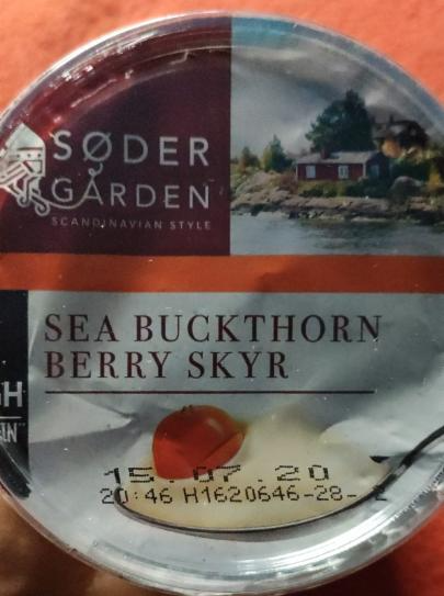 Fotografie - Skyr Sea Buckhorn Berry Soder Garden