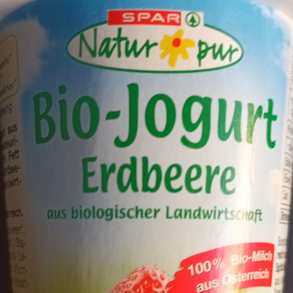 Fotografie - Bio-Jogurt Erdbeere Spar Natur pur