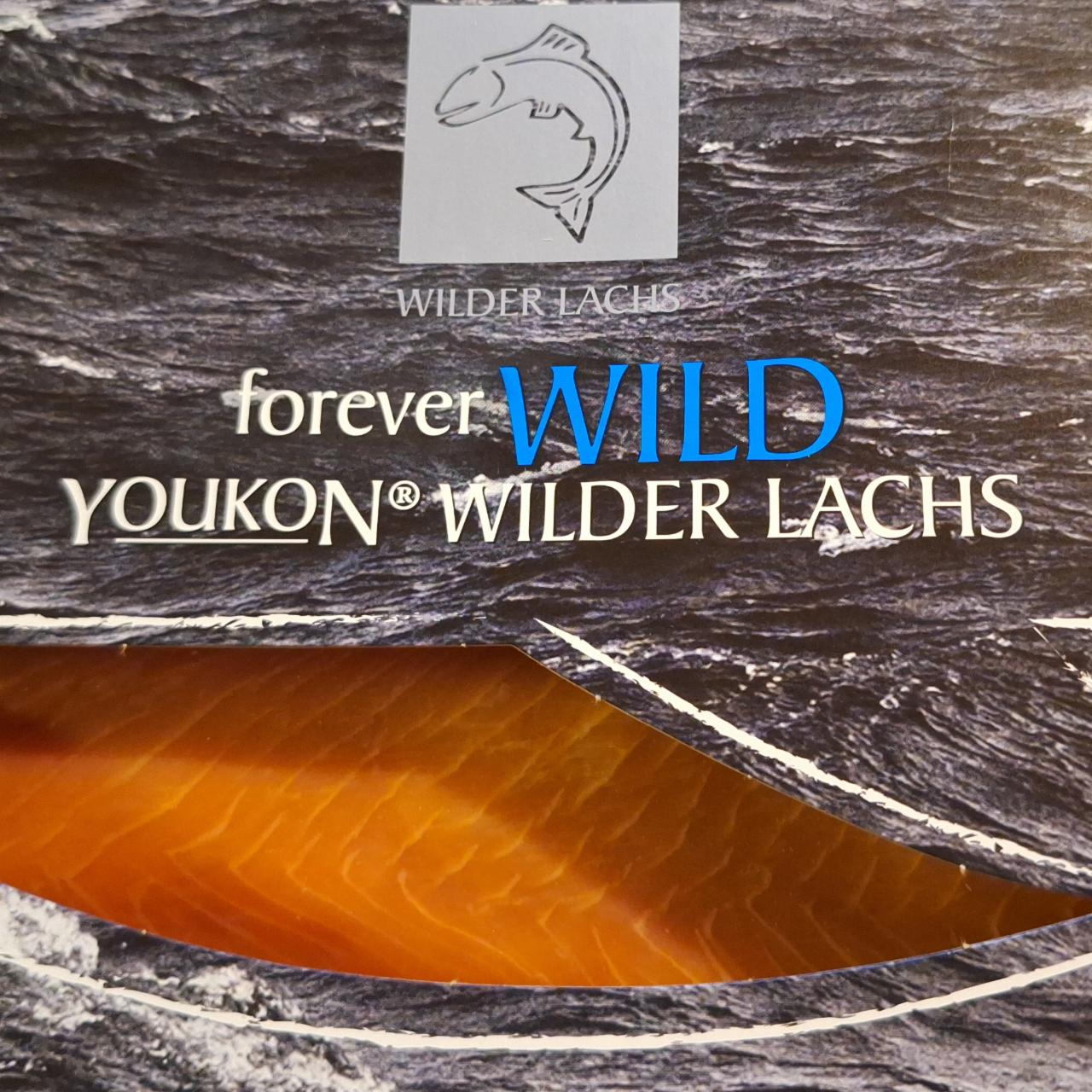 Fotografie - forever Wild Youkon Wilder Lachs