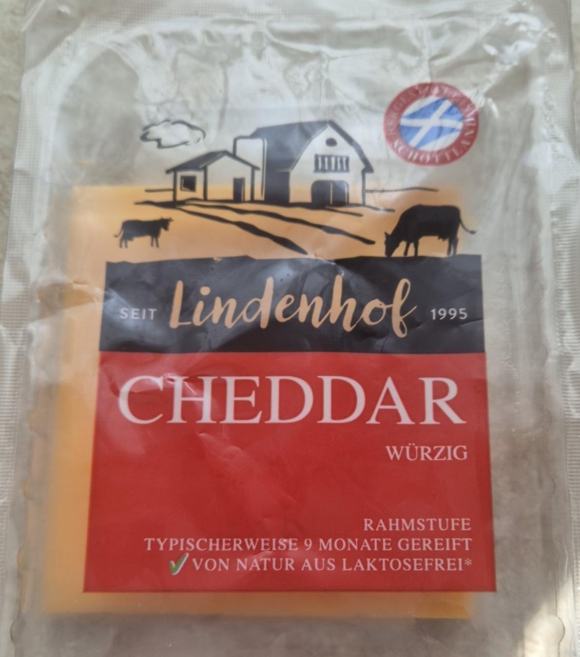 Fotografie - Cheddar würzig Lindenhof