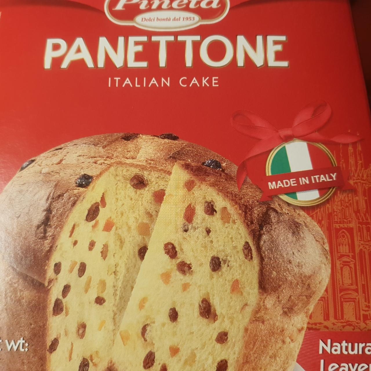 Fotografie - Panettone Pineta