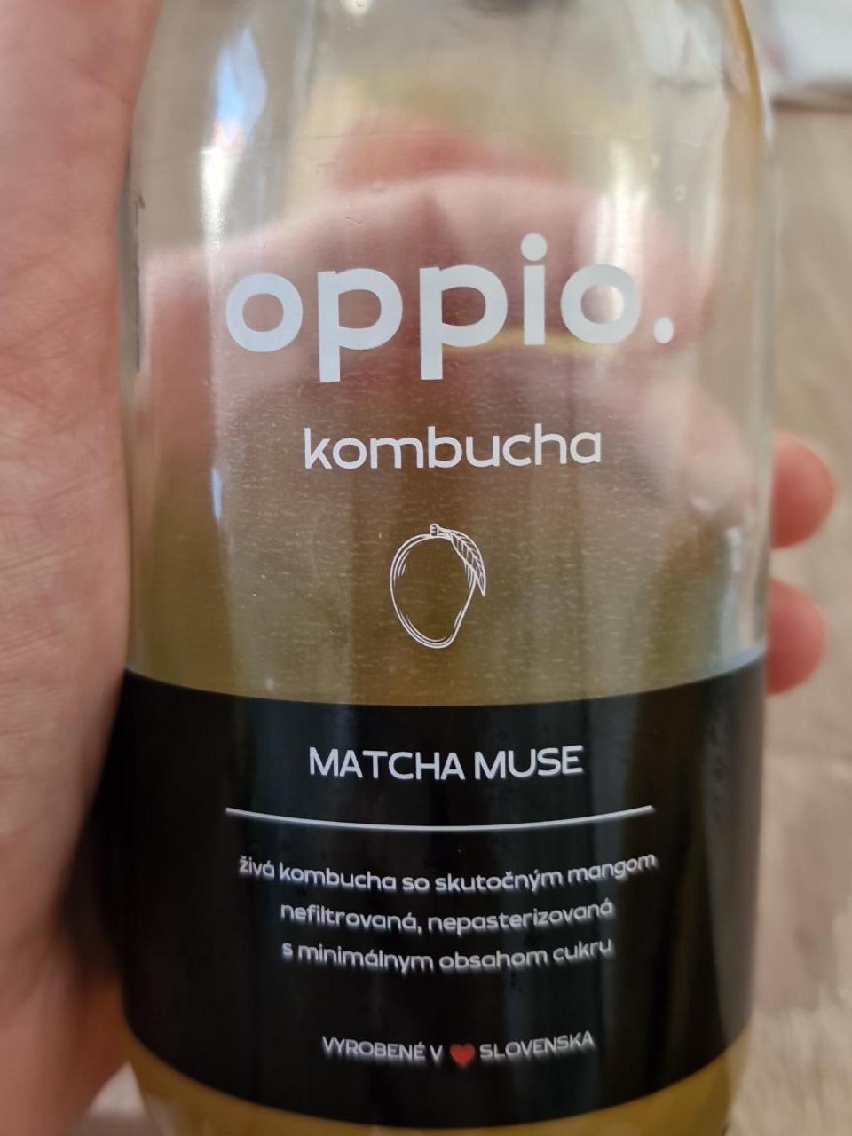 Fotografie - oppio kombucha