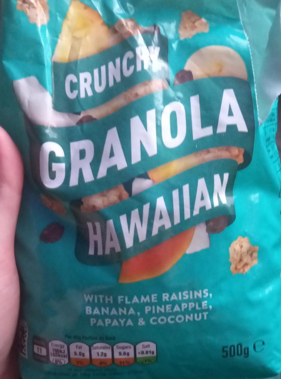 Fotografie - Crunchy granola hawaiian