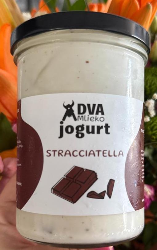 Fotografie - Jogurt Stracciatella Dva mlieko