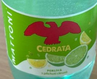 Fotografie - Cedrata perlivá s příchutí citrusů Mattoni