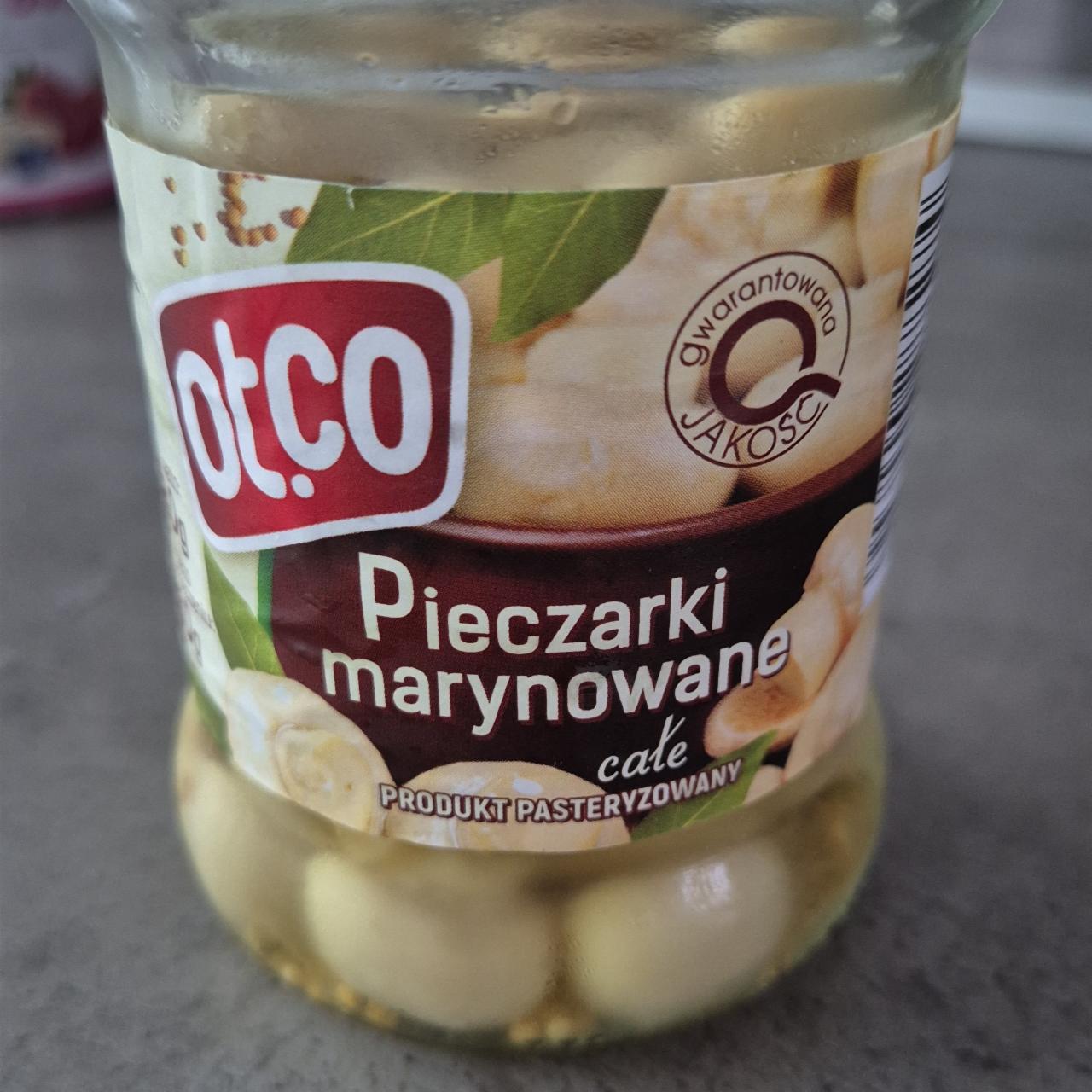 Fotografie - Pieczarki marynowane cale otco