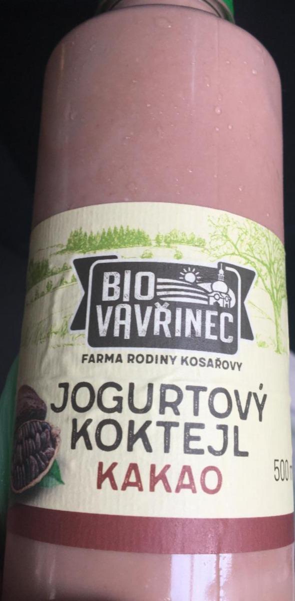 Fotografie - Jogurtový koktejl kakao Bio Vavřinec