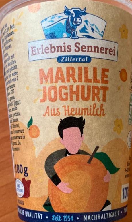 Fotografie - Marille Joghurt asu heumilch Erlebnis Sennerei Zillertal