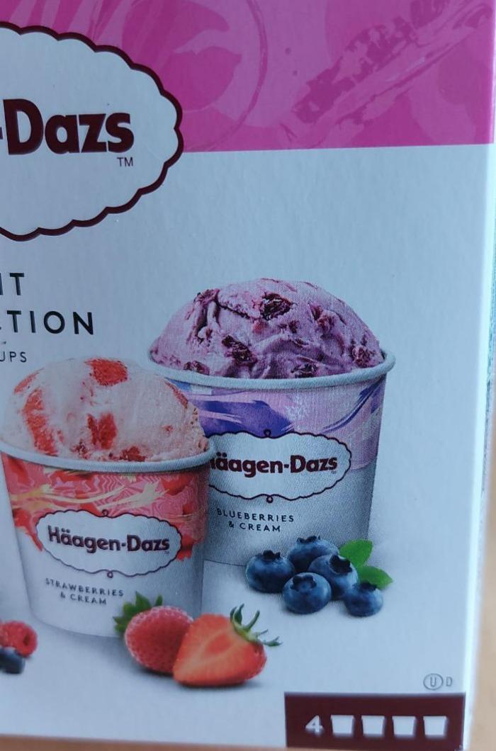 Fotografie - blueberries cream Häagen-Dazs