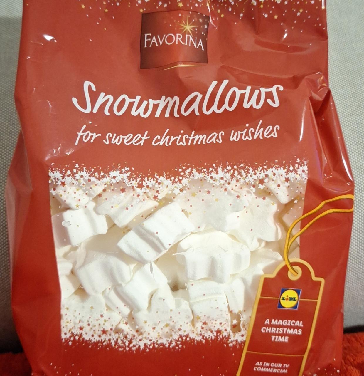 Fotografie - Snowmallows Favorina