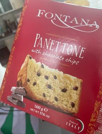 Fotografie - Panettone with chocolate chips Fontana