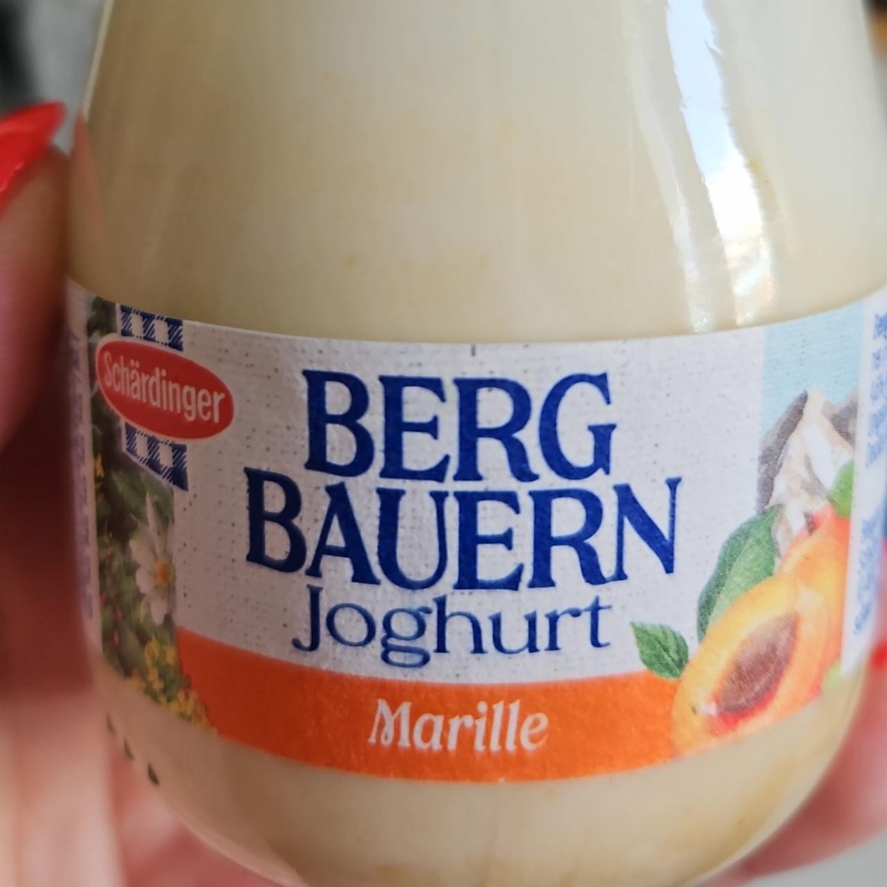 Fotografie - Berg Bauern Joghurt Marille Schärdinger