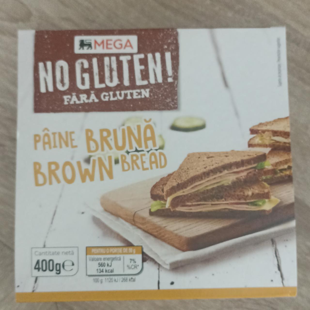 Fotografie - Brown bread Mega