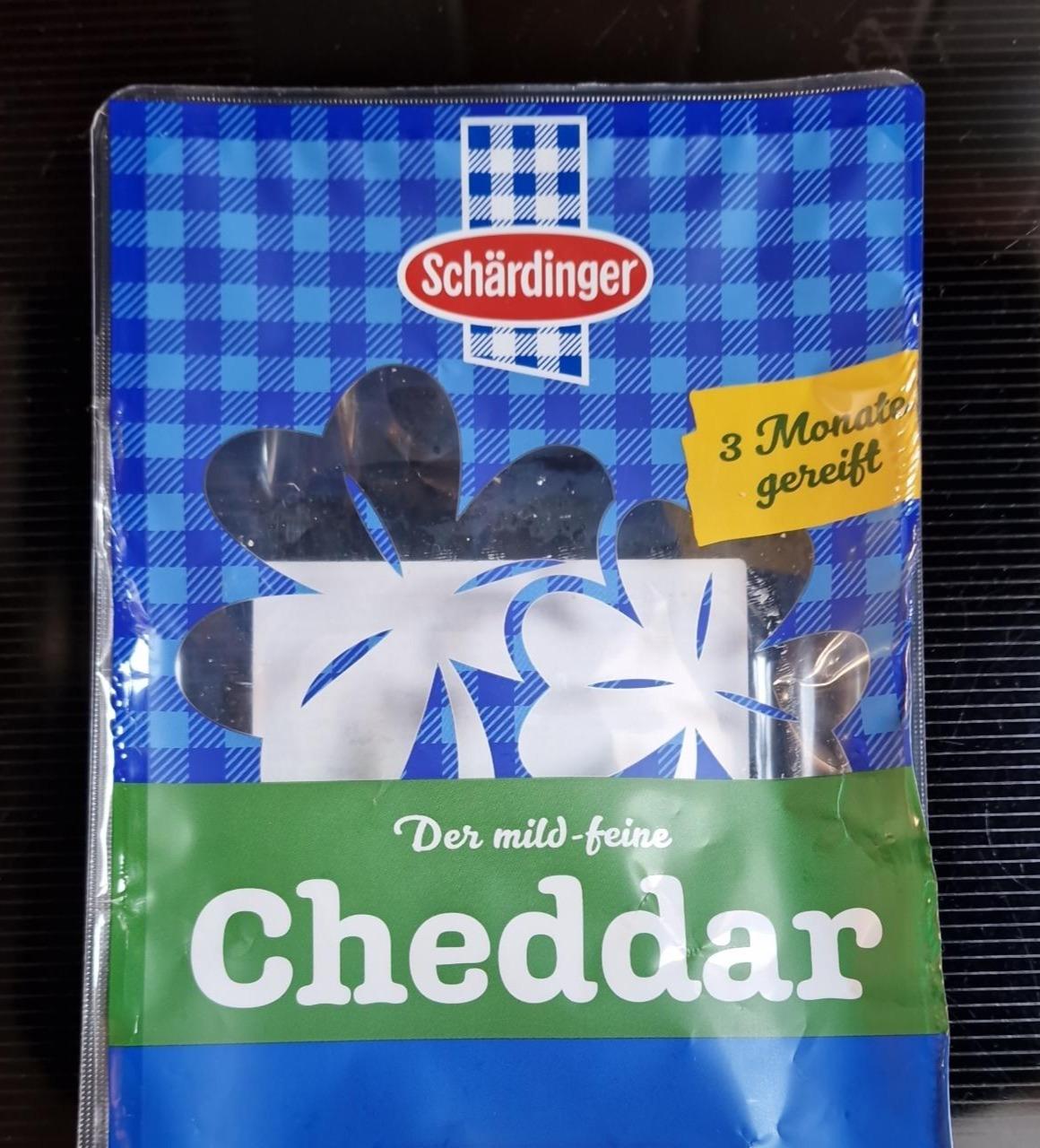 Fotografie - Cheddar Schärdinger