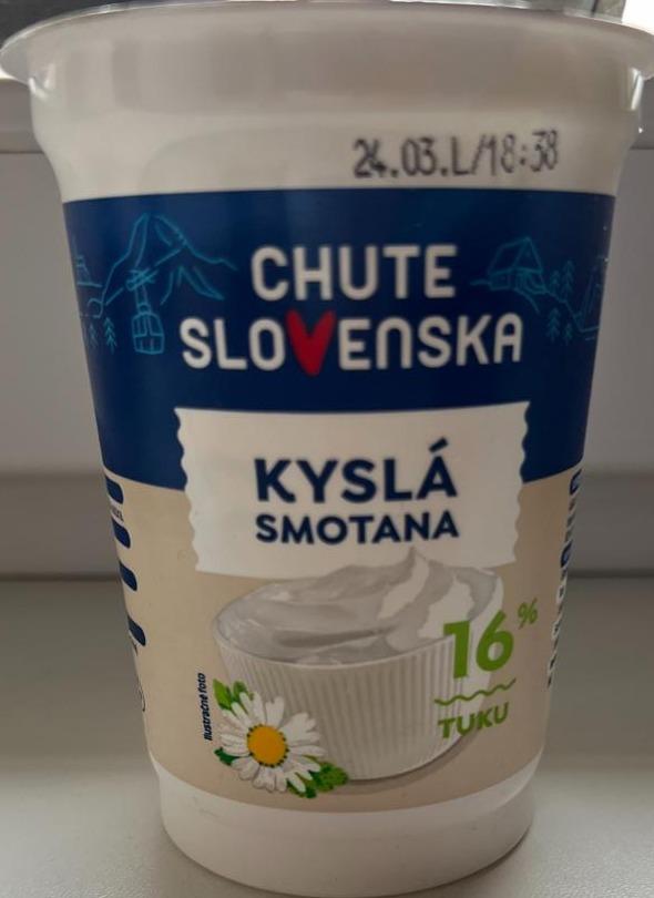 Fotografie - Kysla smotana 16% tuku Chute Slovenska