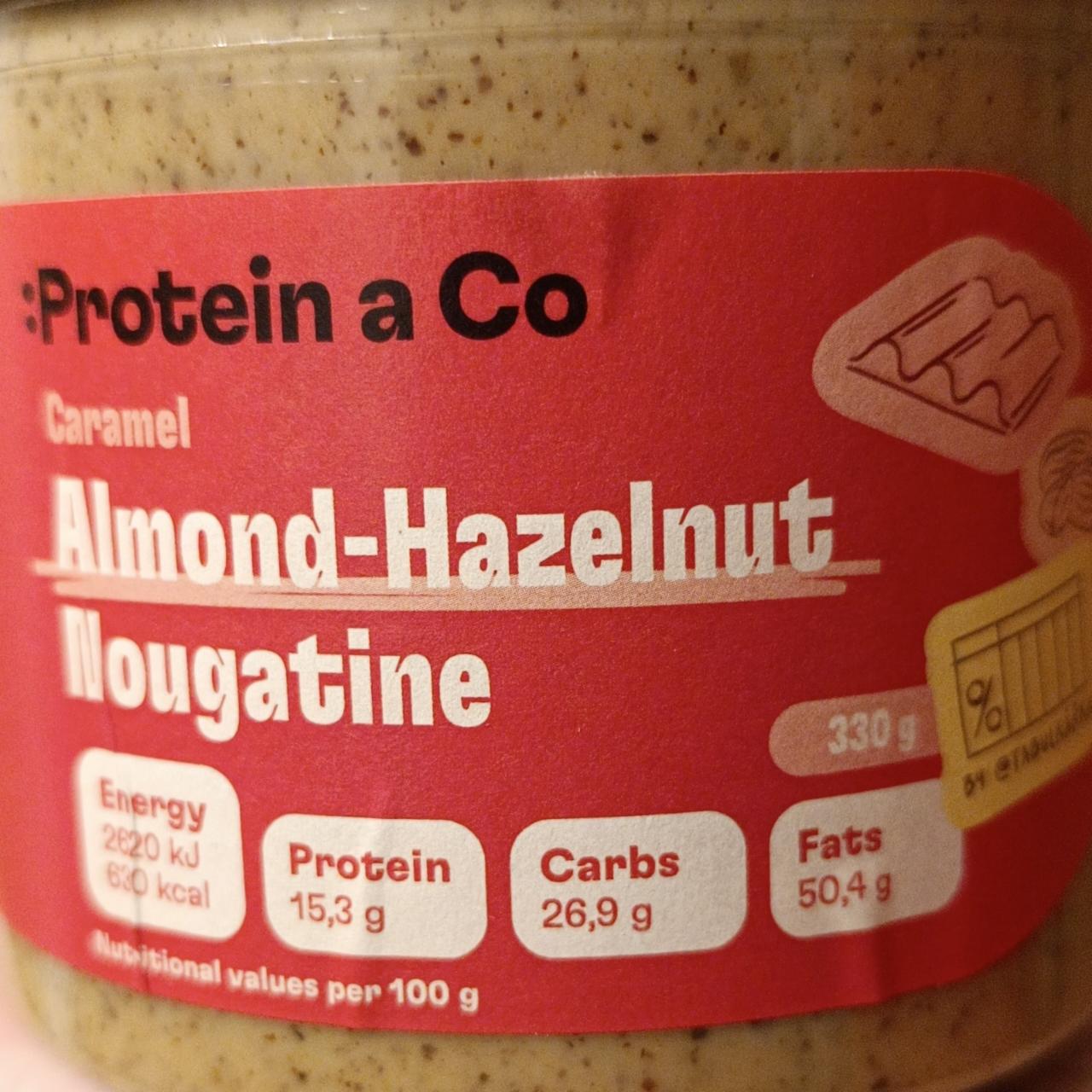 Fotografie - Almond-hazelnut nougatine caramel Protein a Co