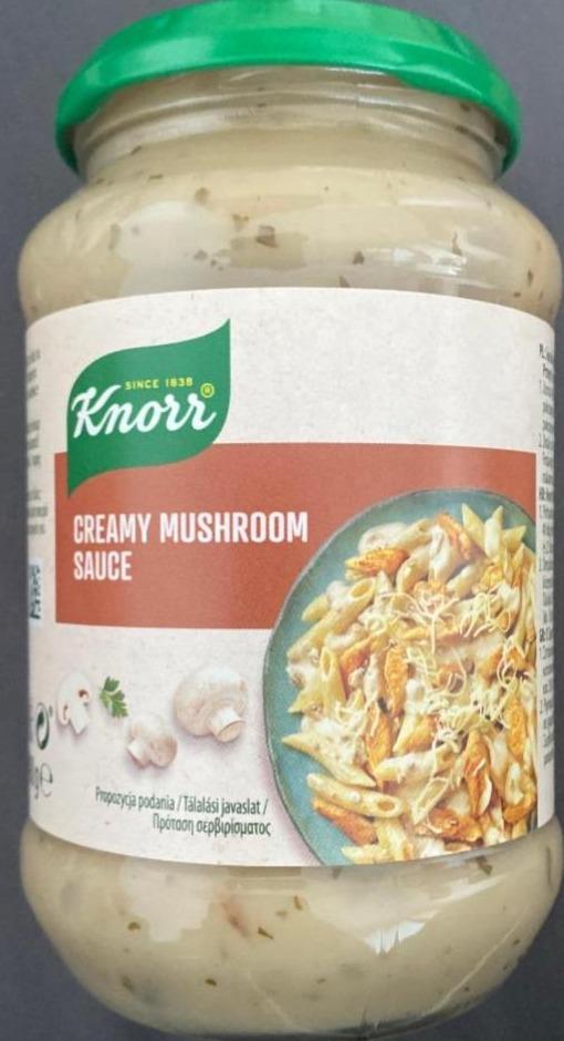 Fotografie - Creamy mushroom sauce Knorr