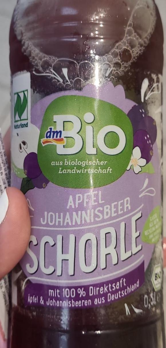 Fotografie - Apfel Johannisbeer Schorle dmBio