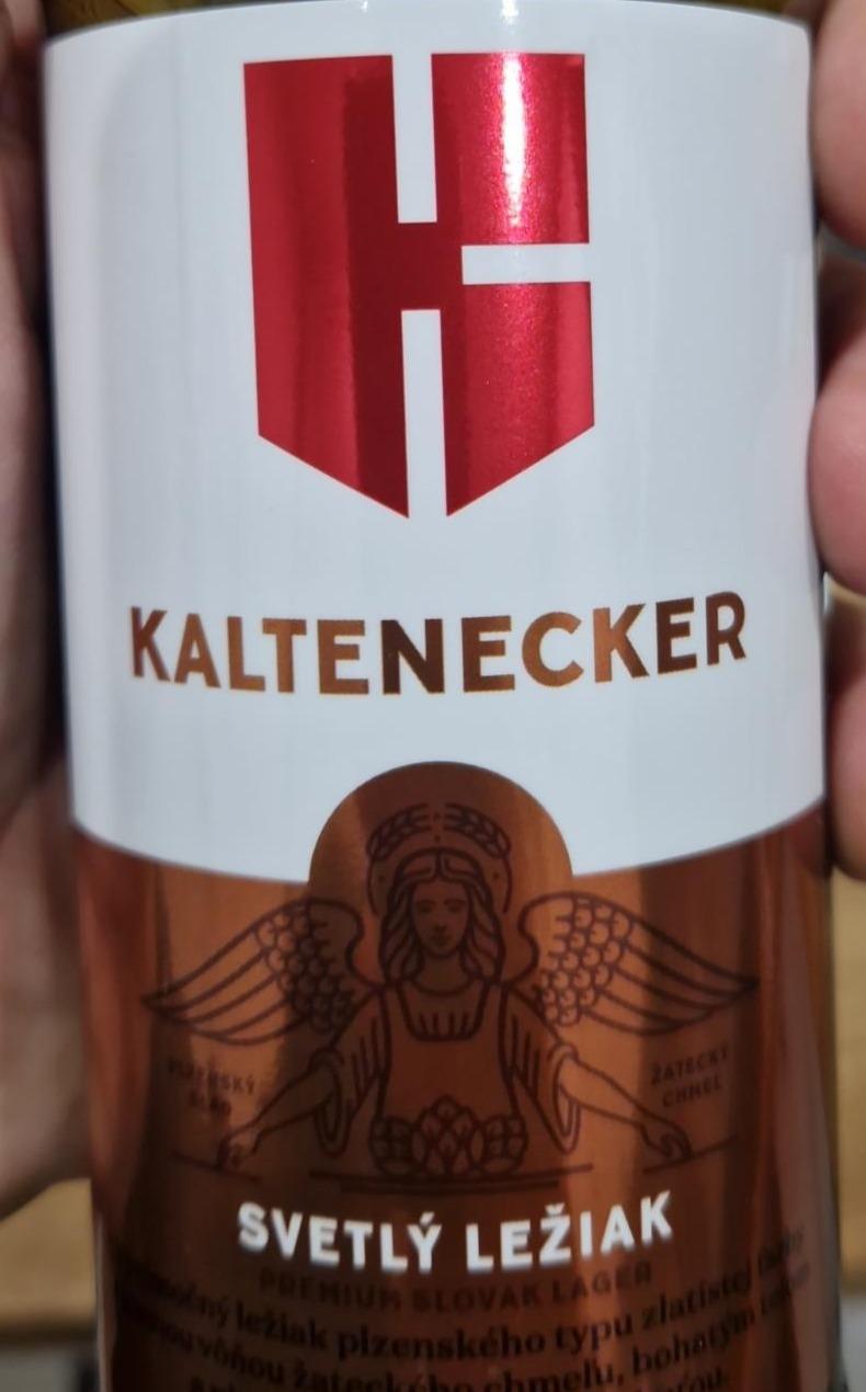 Fotografie - Kaltenecker Lager