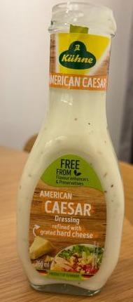 Fotografie - American Caesar Dressing refined with grated hard cheese Kühne