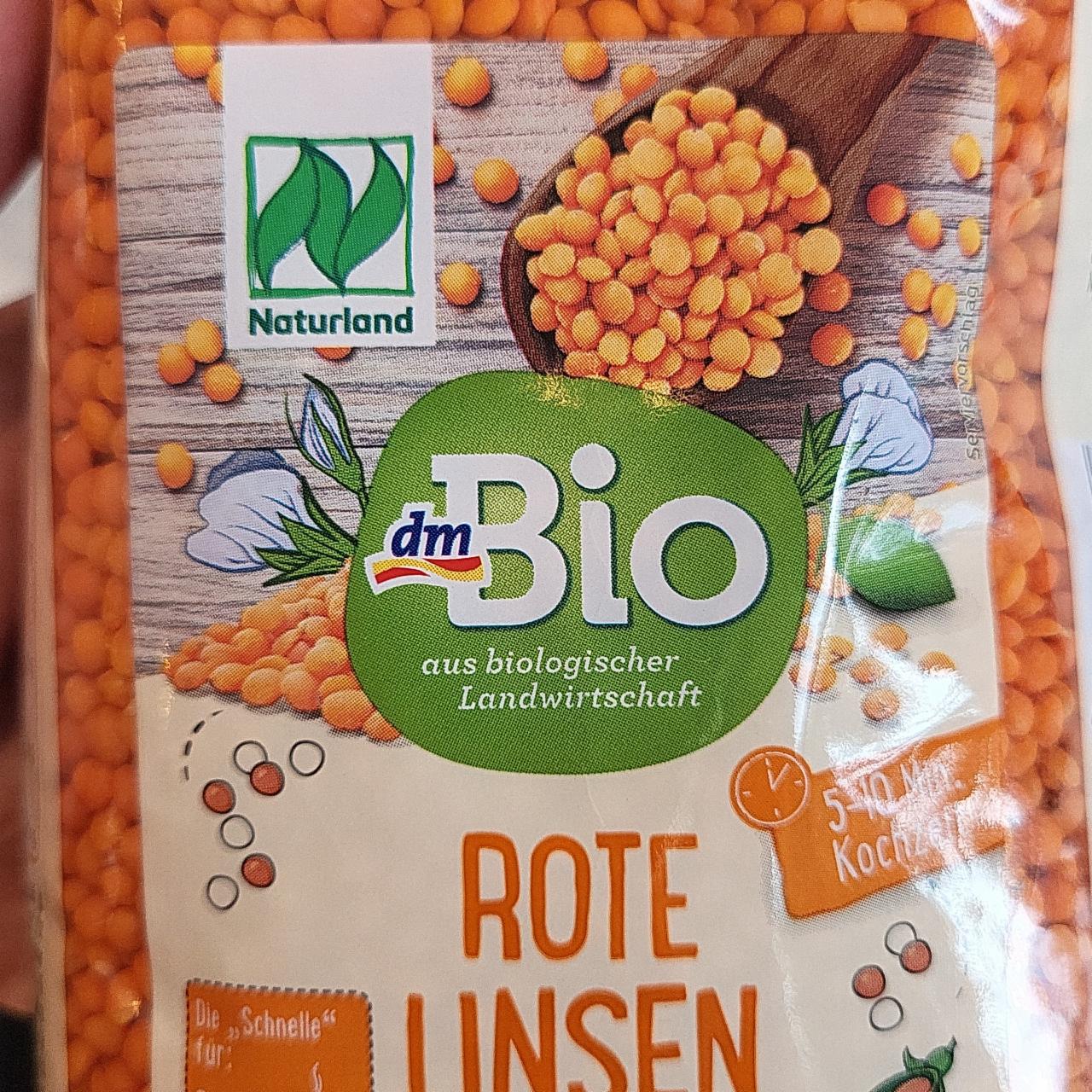 Fotografie - Rote Linsen dmBio