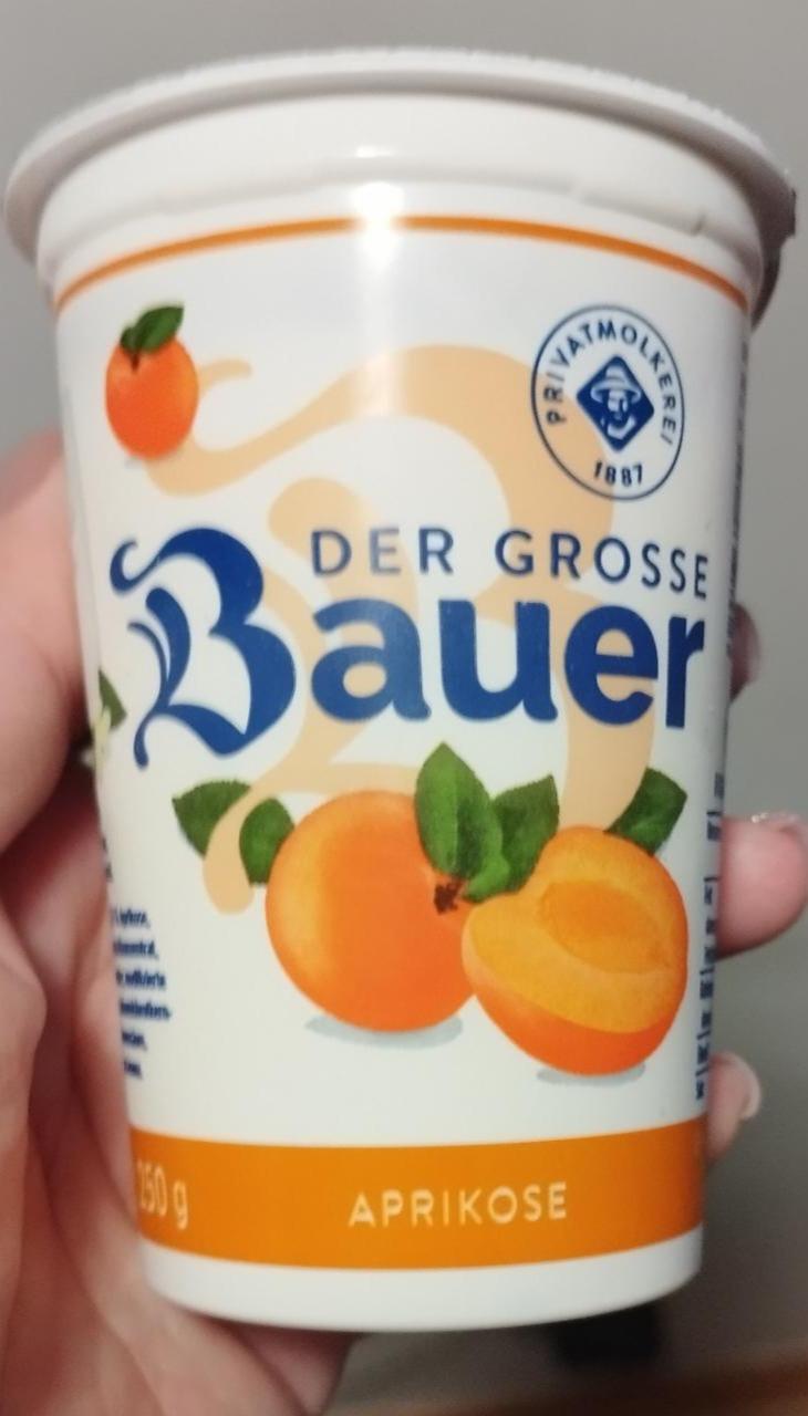 Fotografie - Der Grosse Bauer Aprikose