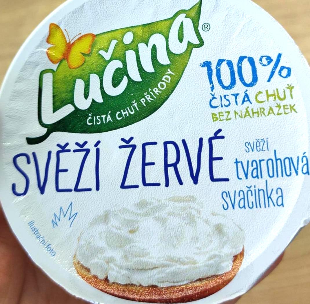 Fotografie - Svěží žervé Lučina