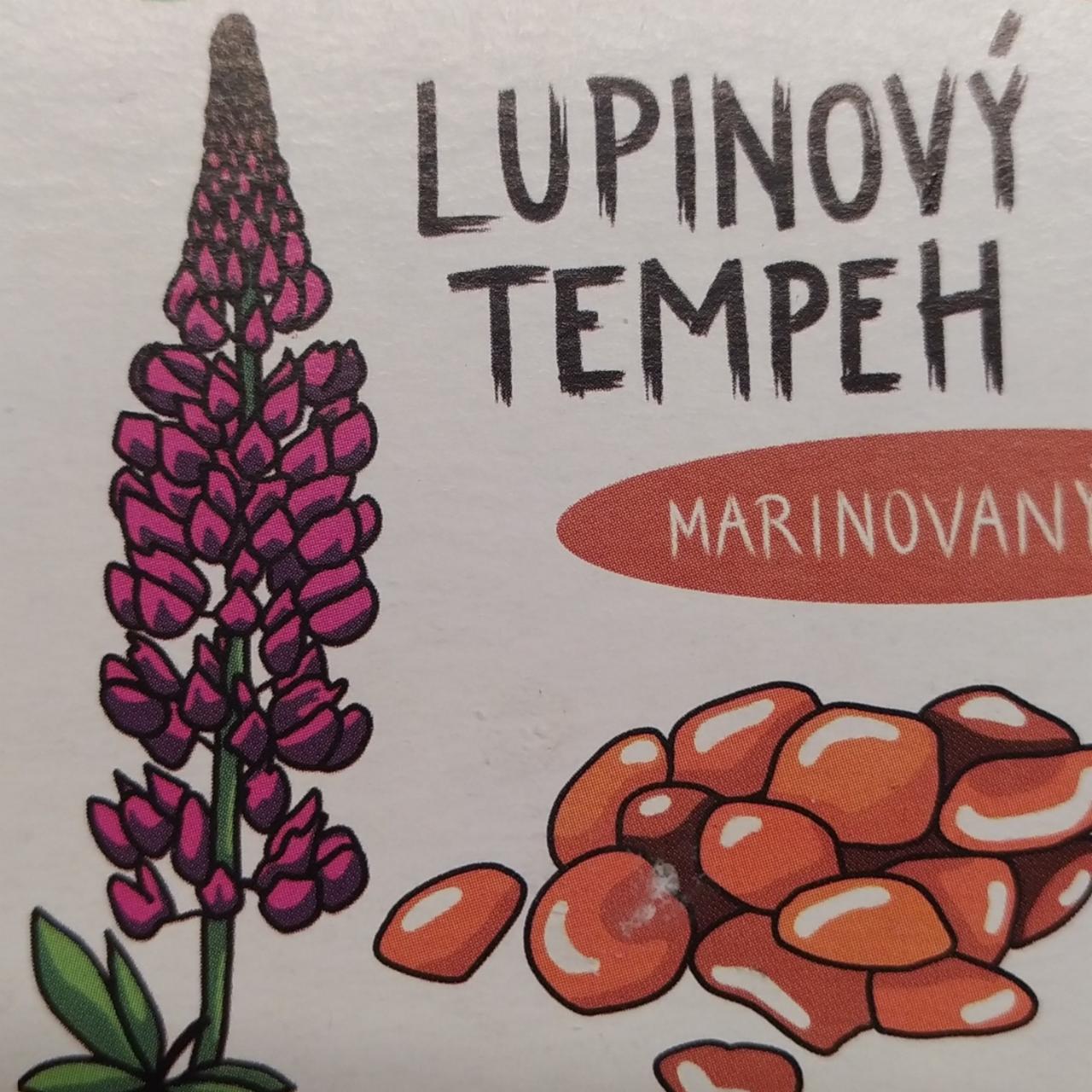 Fotografie - Lupinový tempeh marinovaný Sanes Food