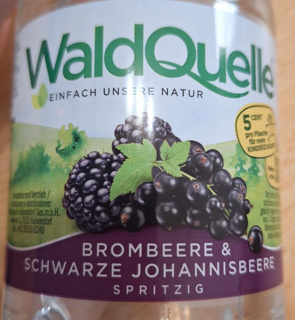 Fotografie - Brombeere & Schwarze Johannisbeere WaldQuelle