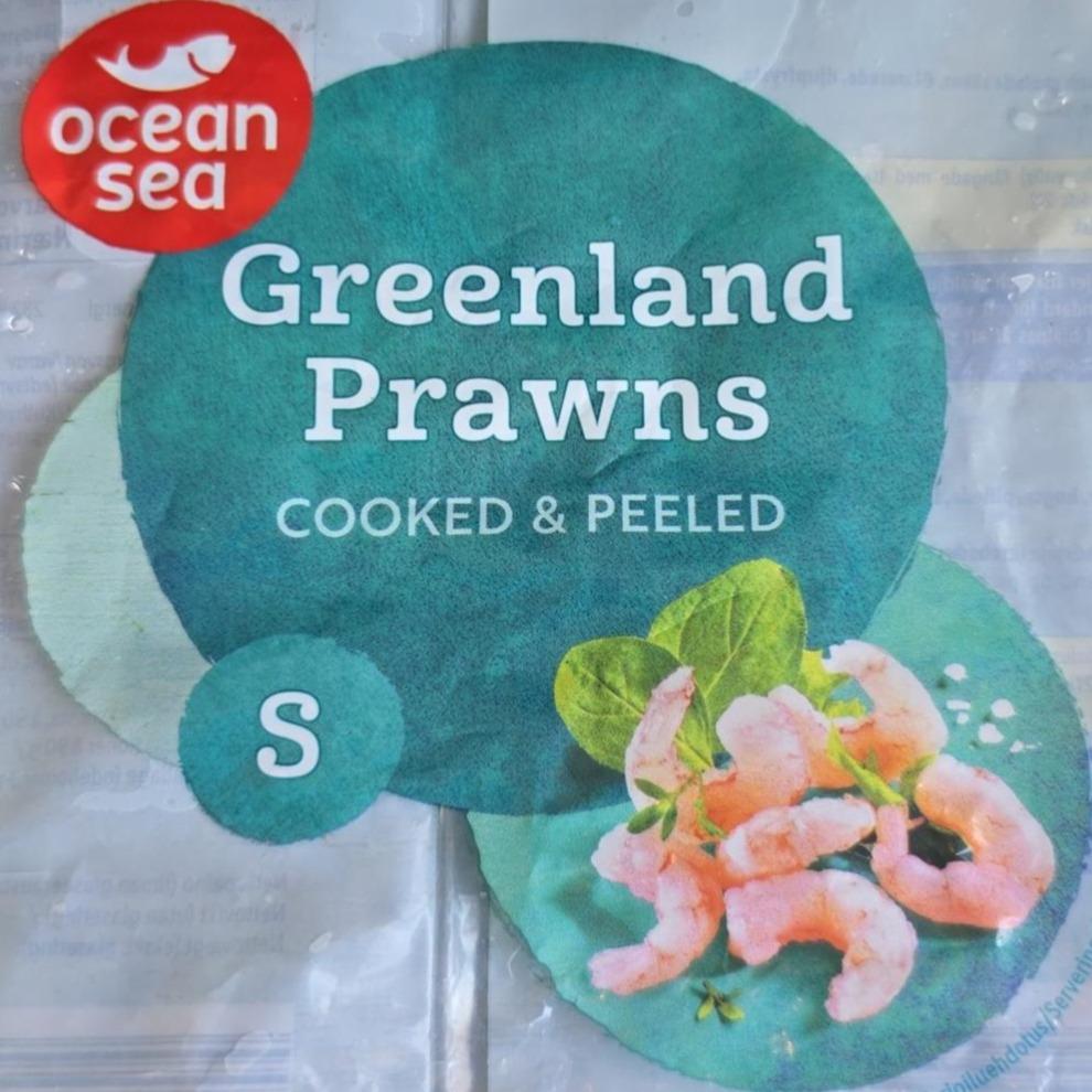 Fotografie - Greenland prawns Ocean Sea