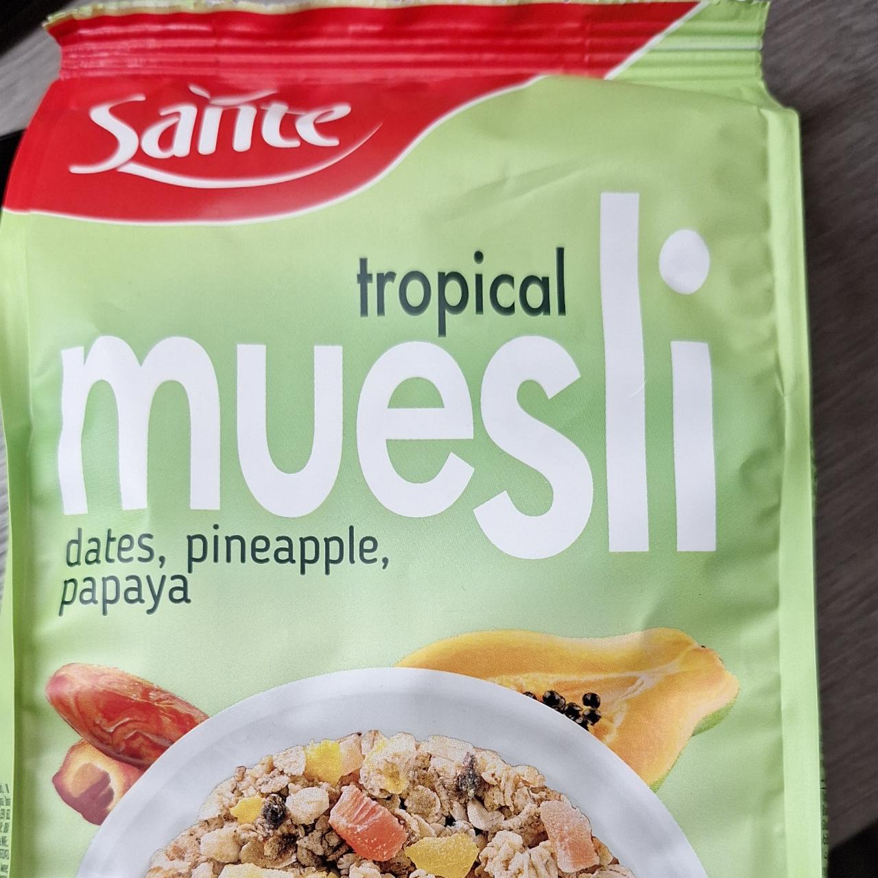 Fotografie - Tropical muesli dates, pineapple, papaya Sante