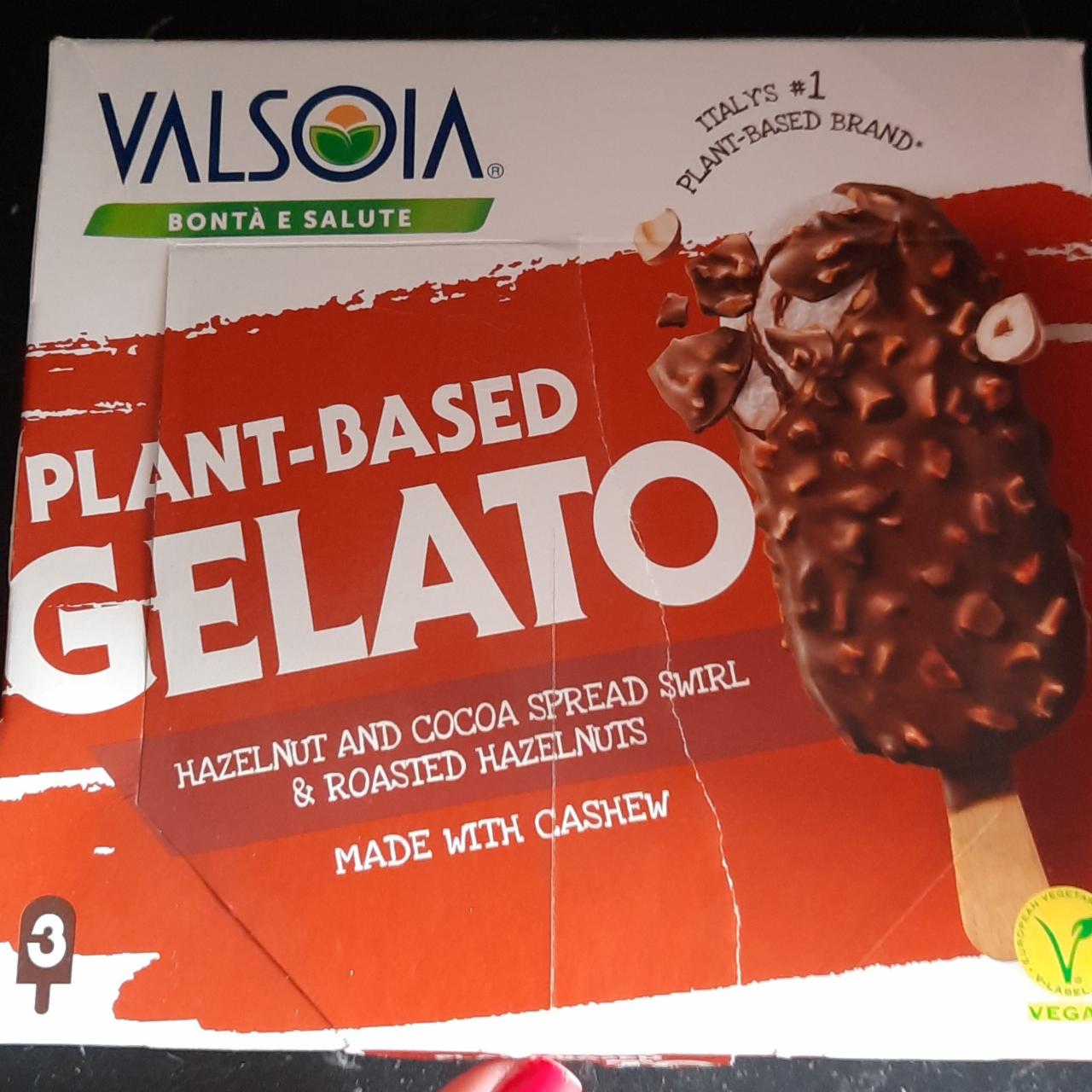 Fotografie - Plant-Based Gelato Hazelnut and Cocoa Valsoia