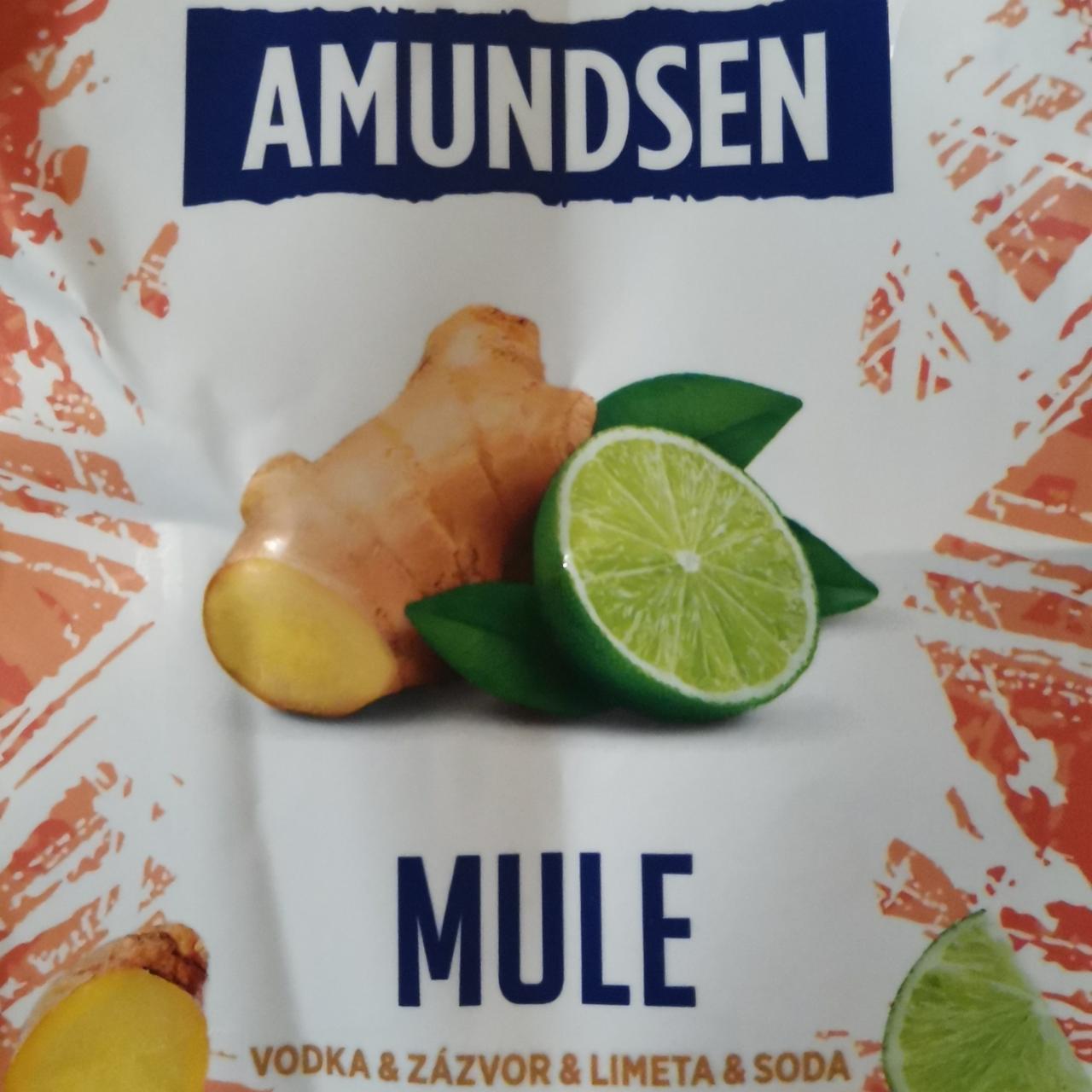 Fotografie - Mule Amundsen