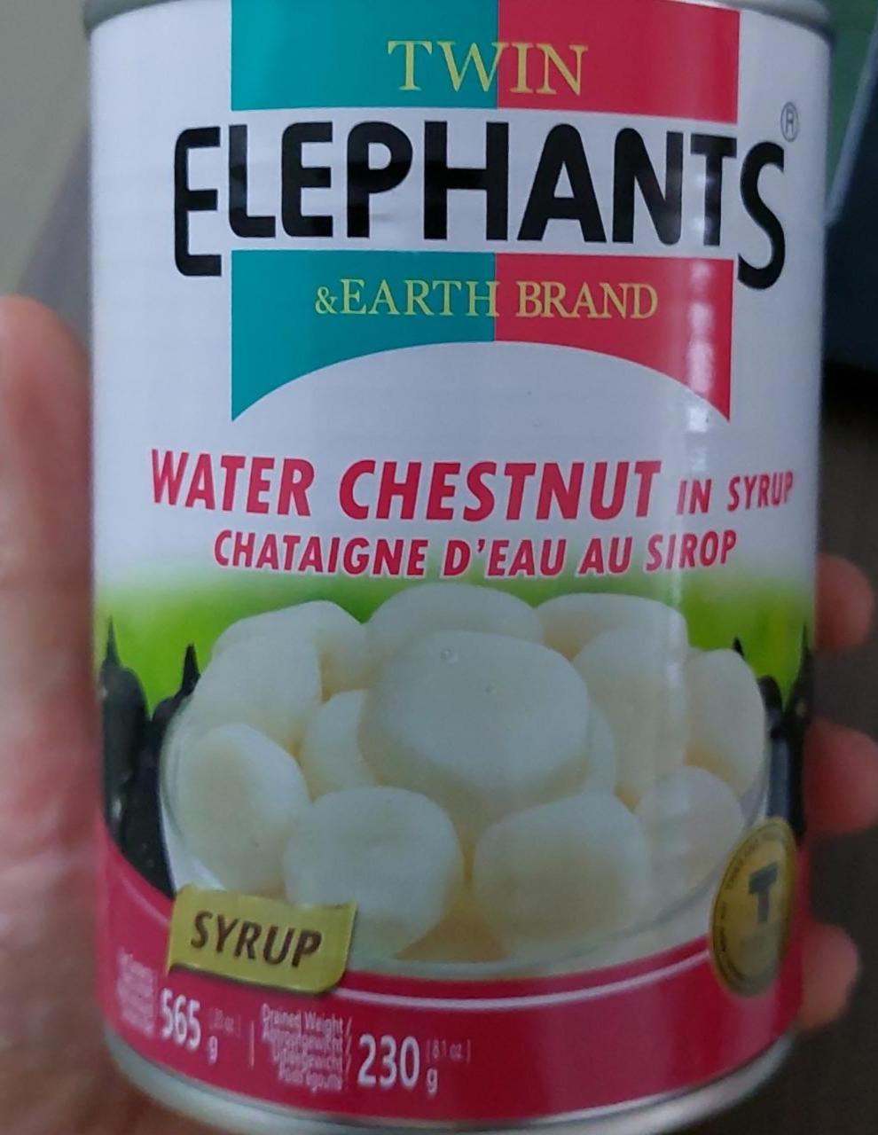 Fotografie - Water Chestnut in syrup Twin Elephants