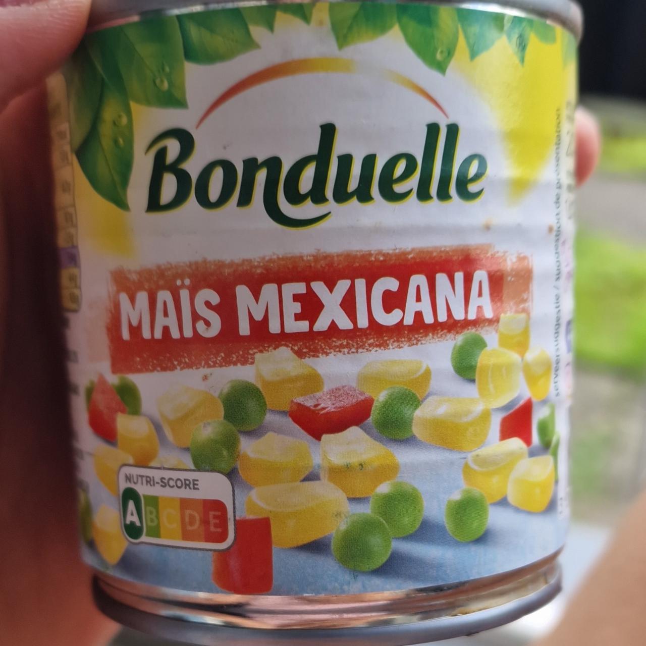 Fotografie - Mais Mexicana Bonduelle