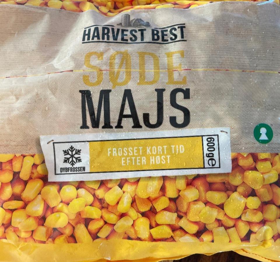 Fotografie - sode majs Harvest Best