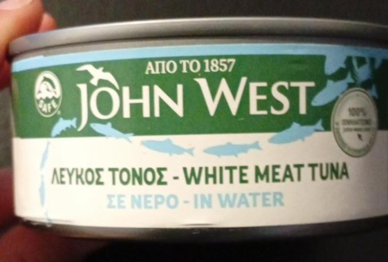 Fotografie - White Meat Tuna in water John West