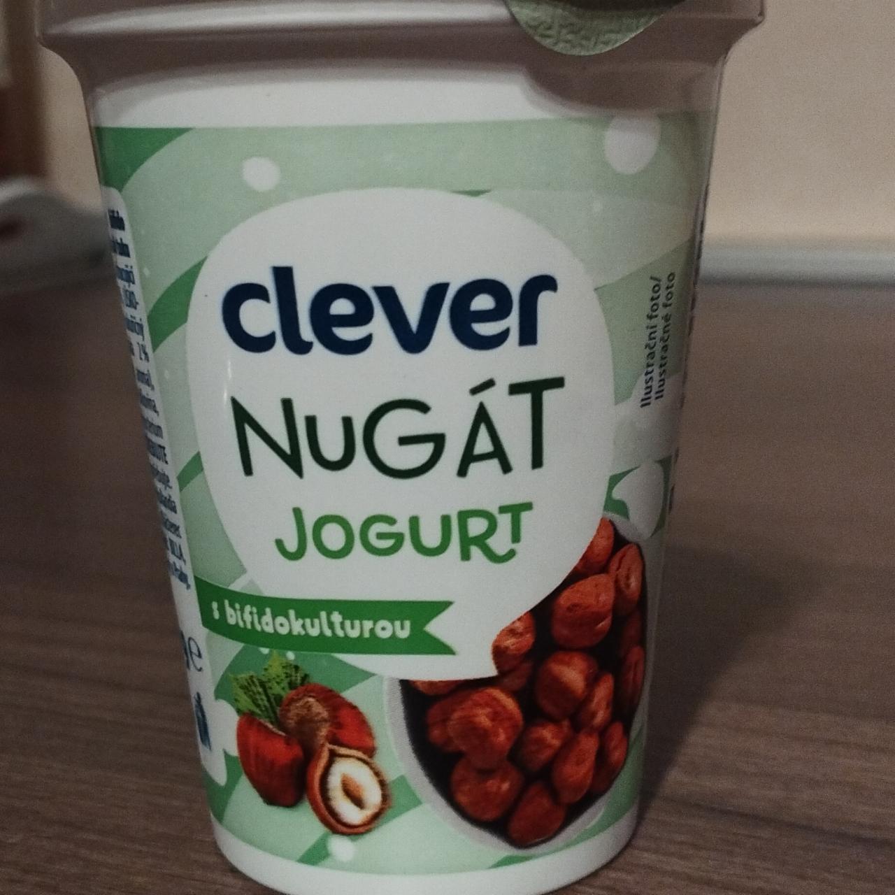 Fotografie - Nugát jogurt s bifidokulturou Clever