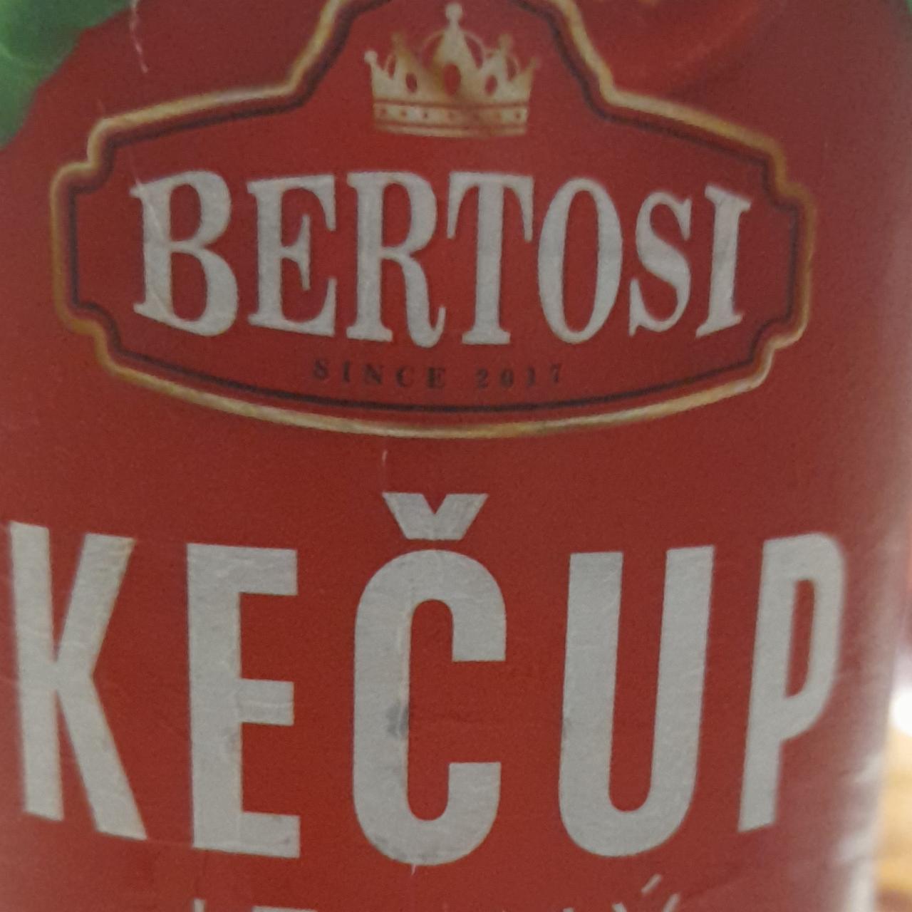 Fotografie - Kečup Bertosi