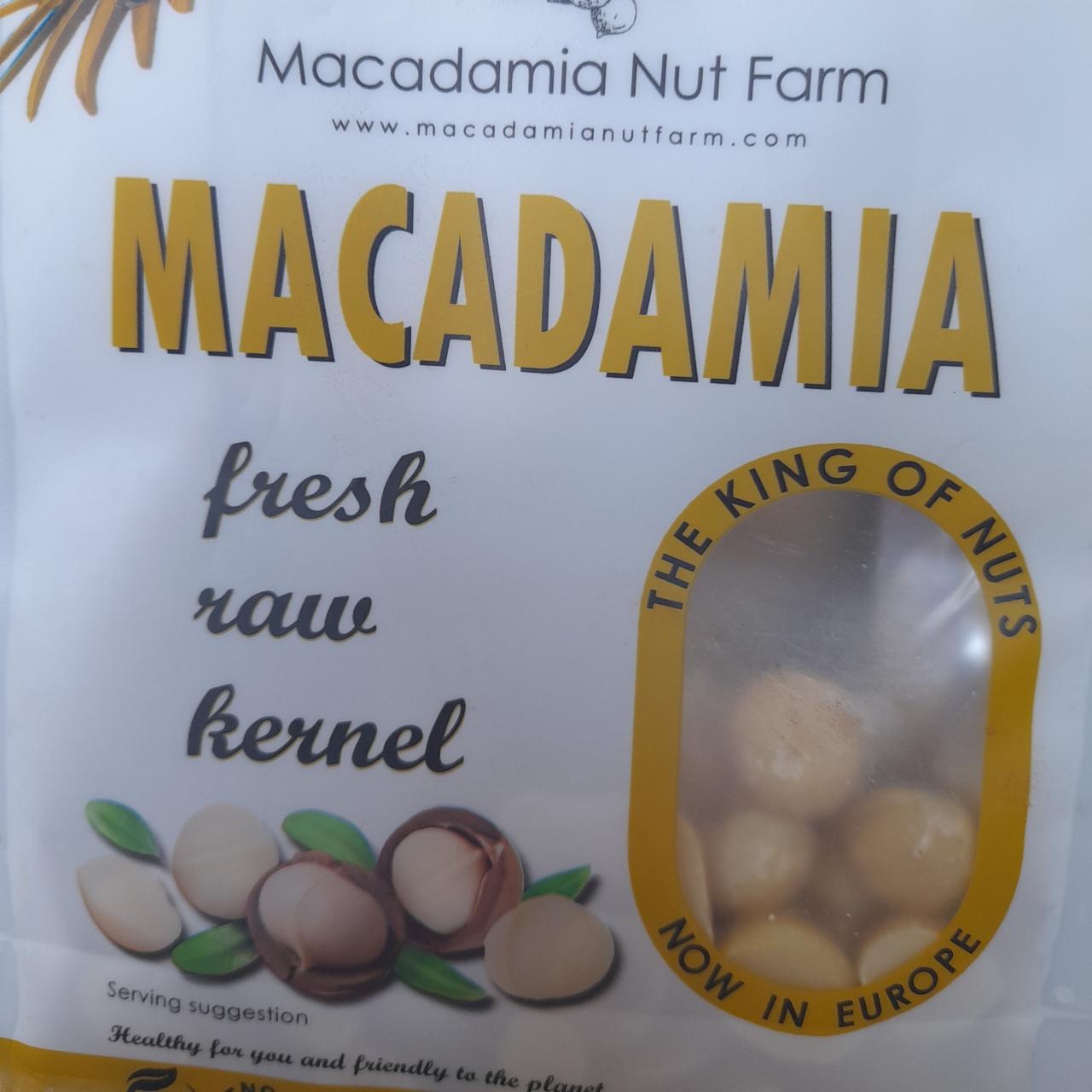 Fotografie - Macadamia fresh raw kernel Macadamia Nut Farm