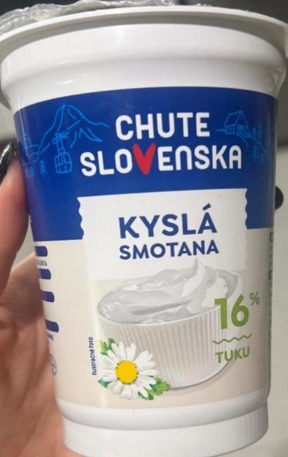 Fotografie - Kyslá smotana Chute Slovenska