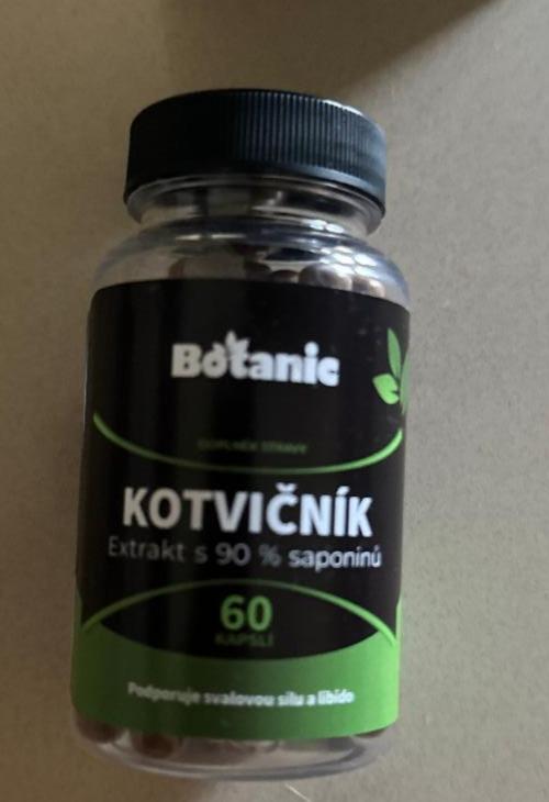 Fotografie - Kotvičník Botanic